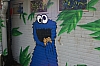 DSC05060.jpg